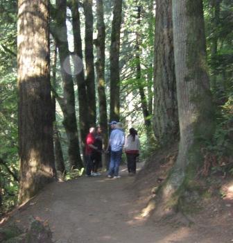group walking on trail